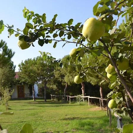 Konukevi Vale Do Asno Altura