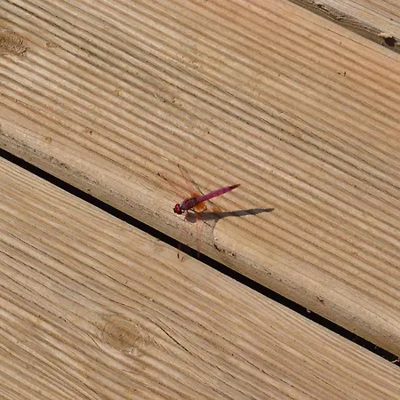 Vale Do Asno 3* Altura