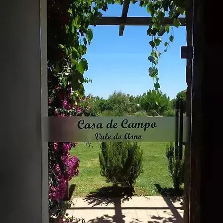 Vale Do Asno Penzion Altura